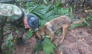 Colombian military searches for heroic dog who helped find children in the Amazon jungle